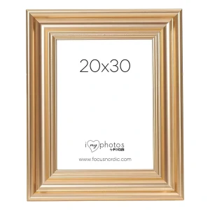 Focus Charleston Gold 20X30
