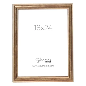 Focus Tango Wood Bronze 18X24
