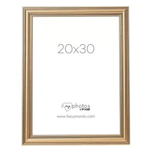 Focus Tango Classic Gold 20X30